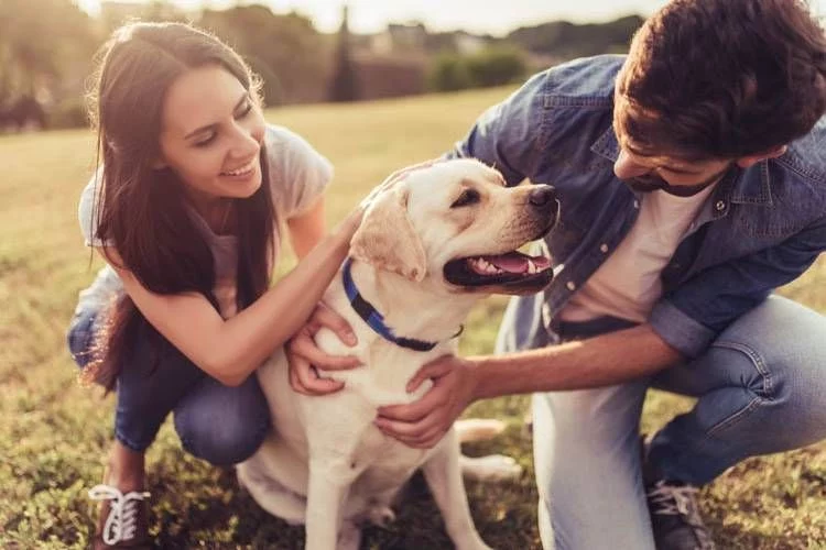 Consejos para una adopción responsable