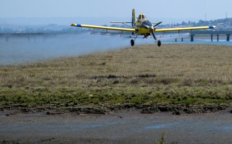Control del Plagas realiza tratamientos biocidas para combatir posibles focos de mosquitos con virus del Nilo en Huelva