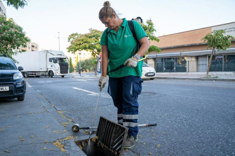 Ocho nuevas infecciones de Virus del Nilo en la provincia de Sevilla, con casos en Gelves, Guillena y Utrera
