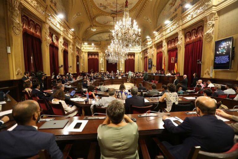 PSIB, MÉS y UP califican de «burla» e «indigna» la actitud del PP al sostener a Le Senne como presidente