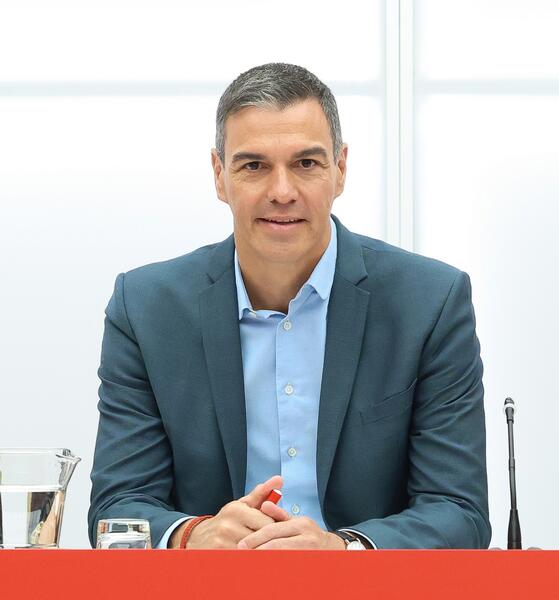 Sánchez felicita a Perelló: «Hoy España recupera la normalidad institucional»