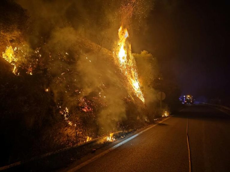 Infoca da por extinguido en 14 horas el incendio declarado a medianoche en Guadiar