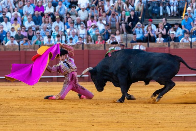 Gobierno Page recuerda que creará una galardón taurino tras oficializar el BOE la supresión del Premio de Tauromaquía