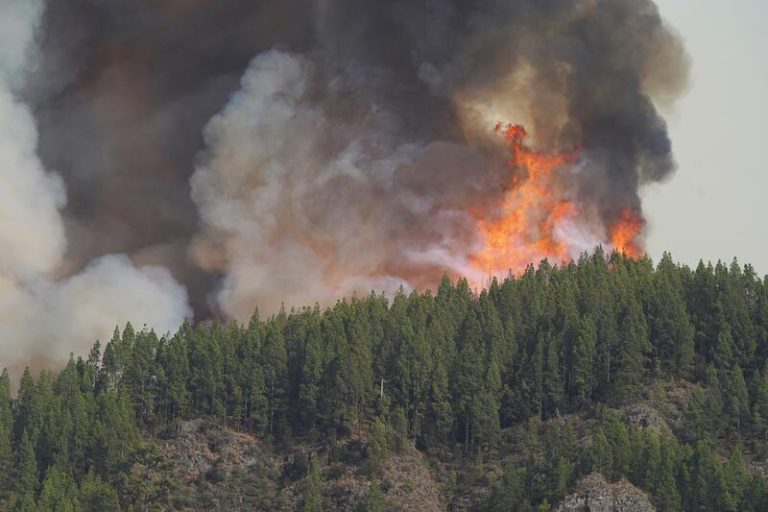 El fuego arrasa 43.654 hectáreas en lo que va de año, un 45,2% menos que en 2023