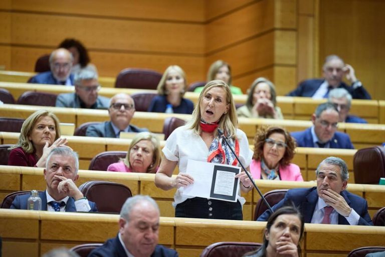 El PP logra que el Senado respalde una propuesta para que el Gobierno salvaguarde la autonomía de los jueces