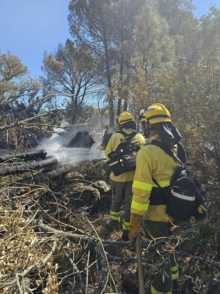 Extinguido el incendio del paraje Barranco del Fresno de El Cerro del Andévalo