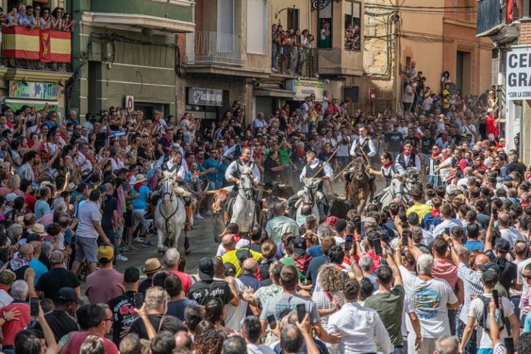 El Encierro de Segorbe: ¡Una Exhibición de Velocidad y Control del Ganado!