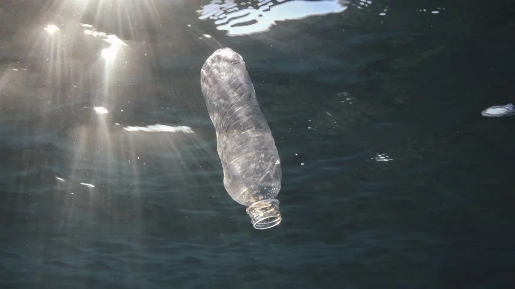 Greenpeace Acusa A Ecoembes De «Boicotear Alternativas» De Reciclaje Eficientes 1 Europapress 4536499 23 June 2022 Egypt Red Sea Plastic Bottle Drifts Under Surface Of The Red