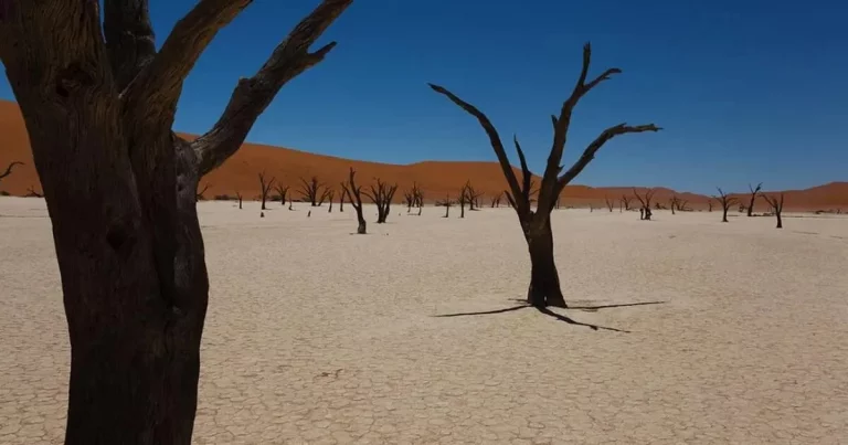 La Isla de las Muñecas y otros destinos inusuales que merece la pena visitar al menos una vez