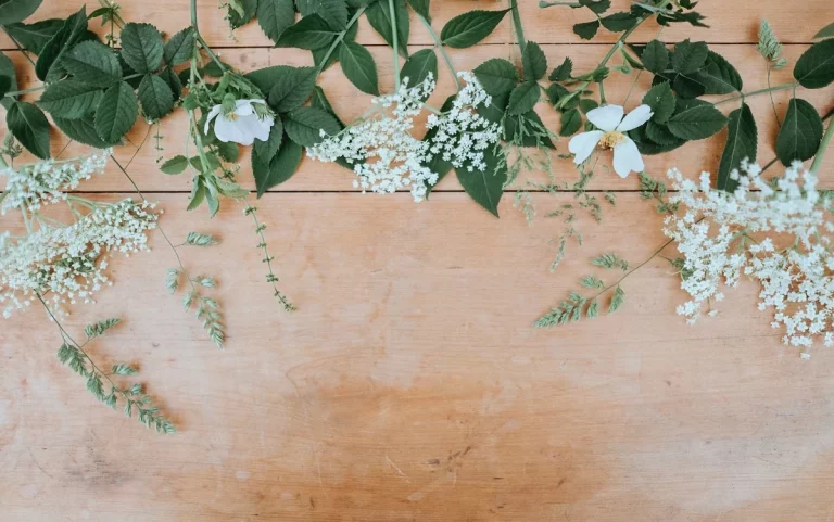 Descubre las ventajas de comprar flores a domicilio