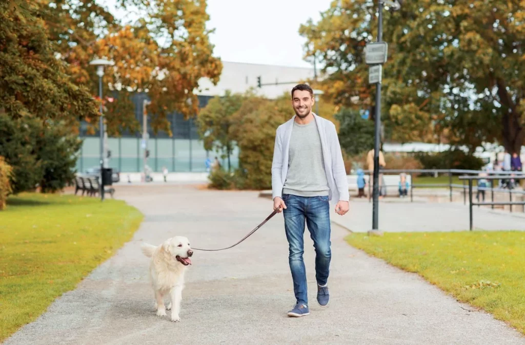 Cuidado Con Las Multas: ¿Cómo Limpiar El Orín De Tu Mascota De Forma Correcta?