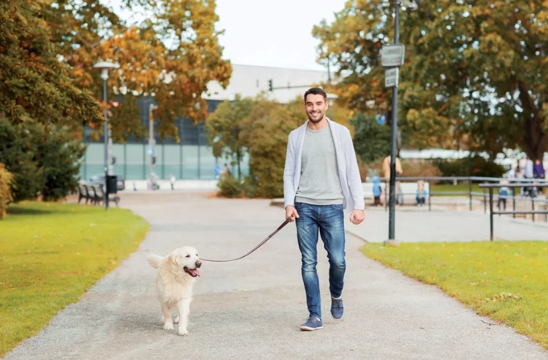 Cuidado con las multas: ¿Cómo limpiar el orín de tu mascota de forma correcta?