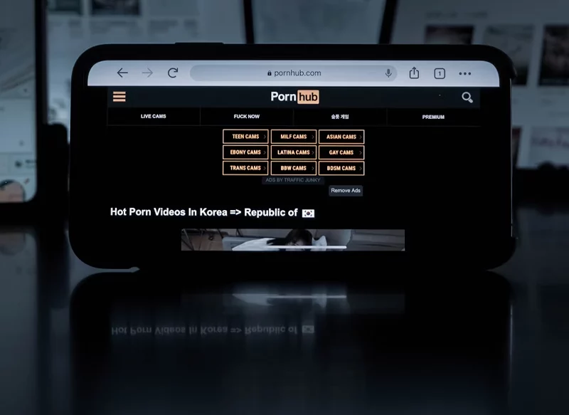 NO TODAS LAS WEBS DE PORNOGRAFÍA ESTÁN AFECTADAS