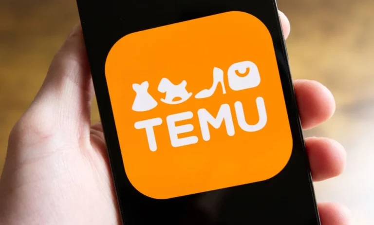 Europa toma medidas contra Temu: la tienda en línea se enfrenta a una investigación por venta de productos falsificados
