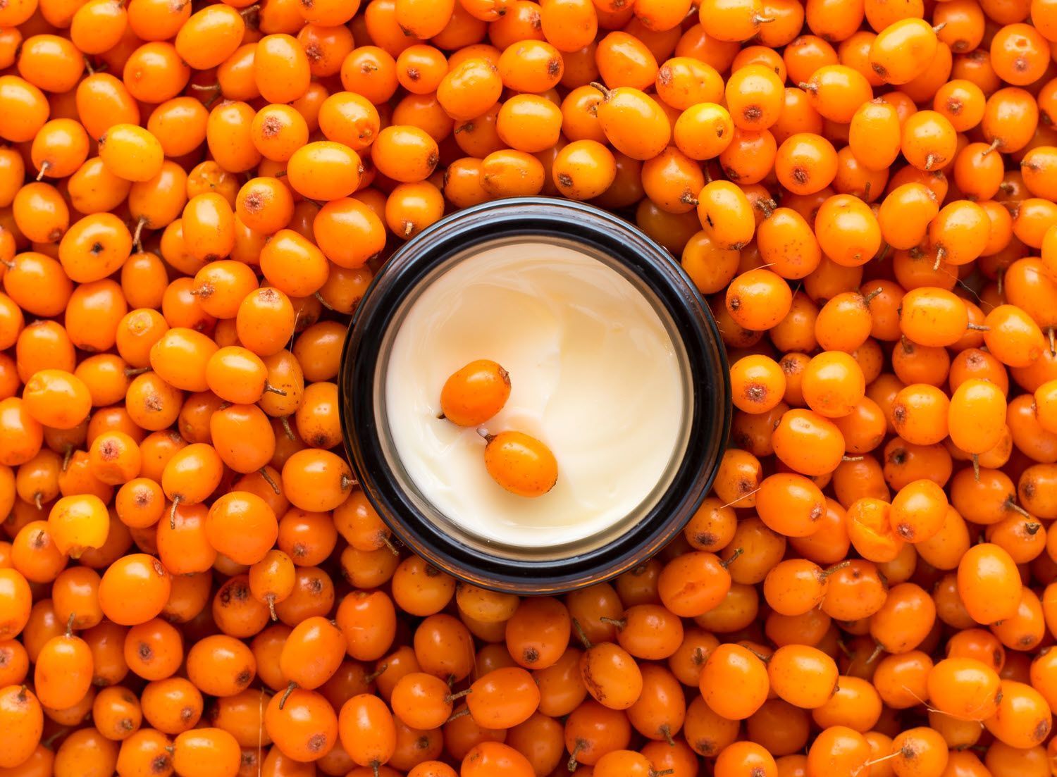 El aceite de espino amarillo: fuente de omega 7 y sus poderosas cualidades 1 El aceite de espino amarillo: fuente de omega 7 y sus poderosas cualidades