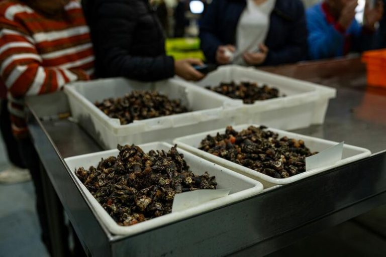 La OCU advierte de la subida de precios de los alimentos navideños en diciembre