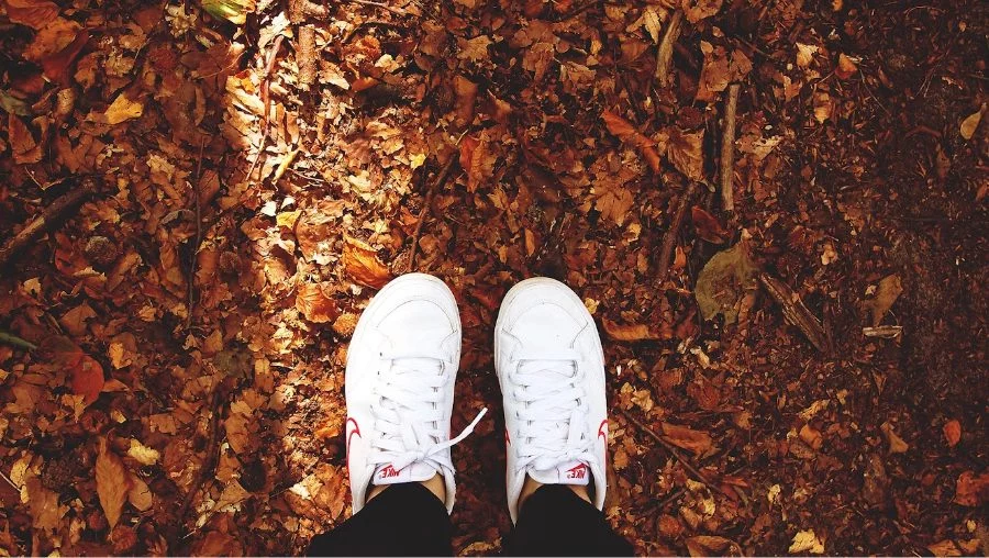 Zapatillas Deportivas