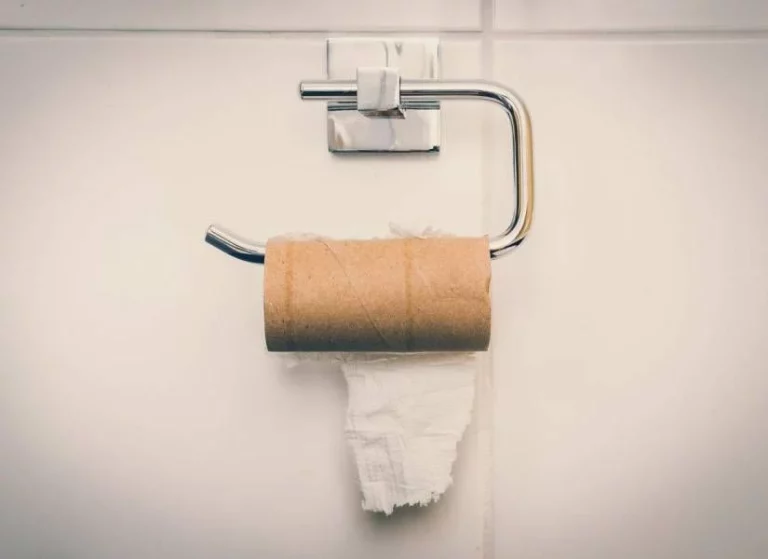 El papel higiénico dejará de existir y ya tiene sustituto