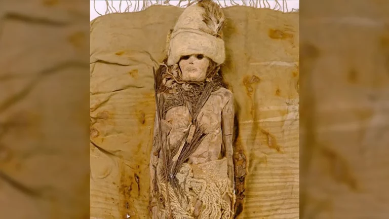 El queso más antiguo del mundo tiene 3.000 años y está en el cuello de una momia