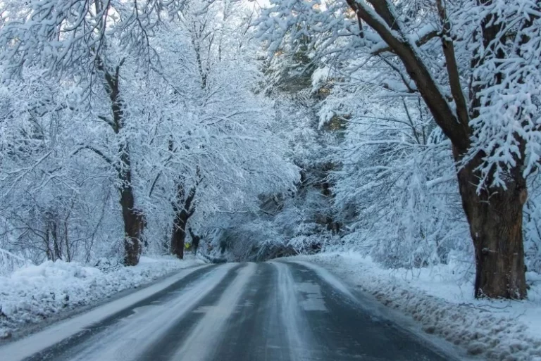 La Junta de CyL envía un mensaje ‘ES-ALERT’ por las nevadas y el 112 atiende hasta el momento un «par de avisos»
