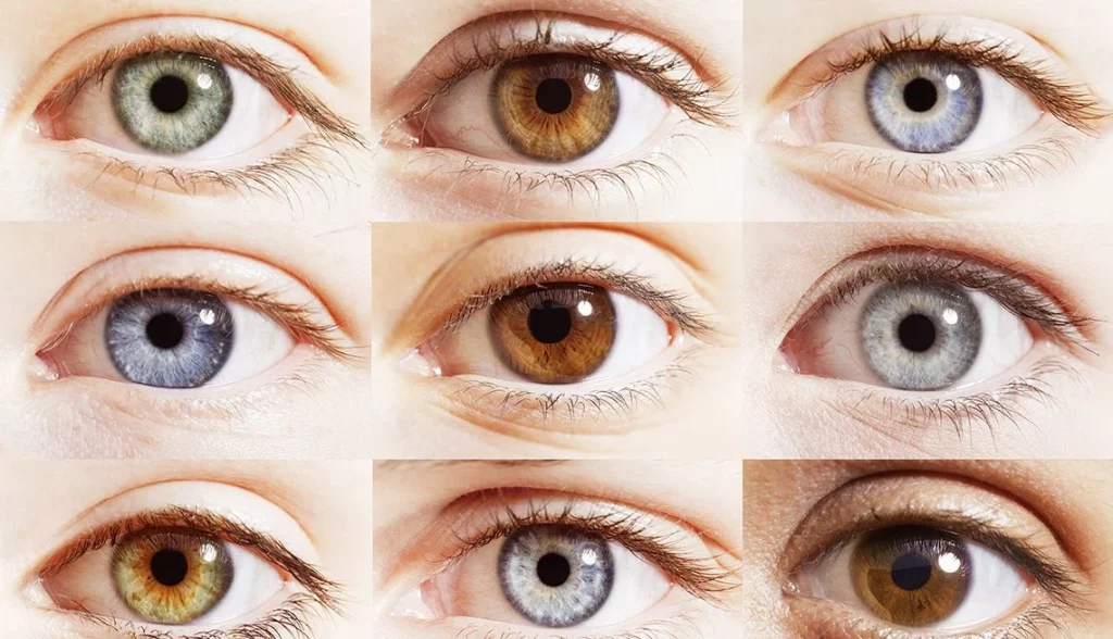 Los Ojos Verdes: Un Fenómeno Raro Y Exótico