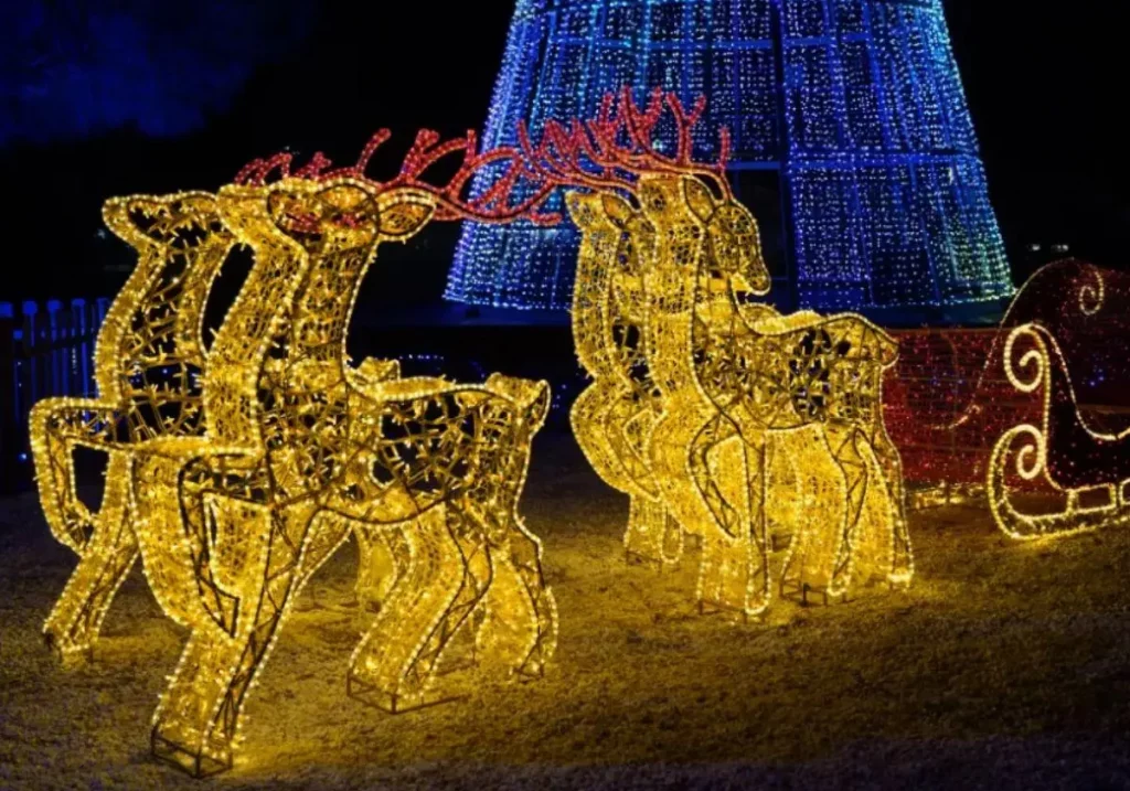 Paseo Por Las Luces De Navidad