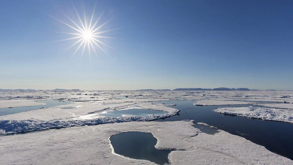 ¿Qué Significa Un Ártico Sin Hielo?