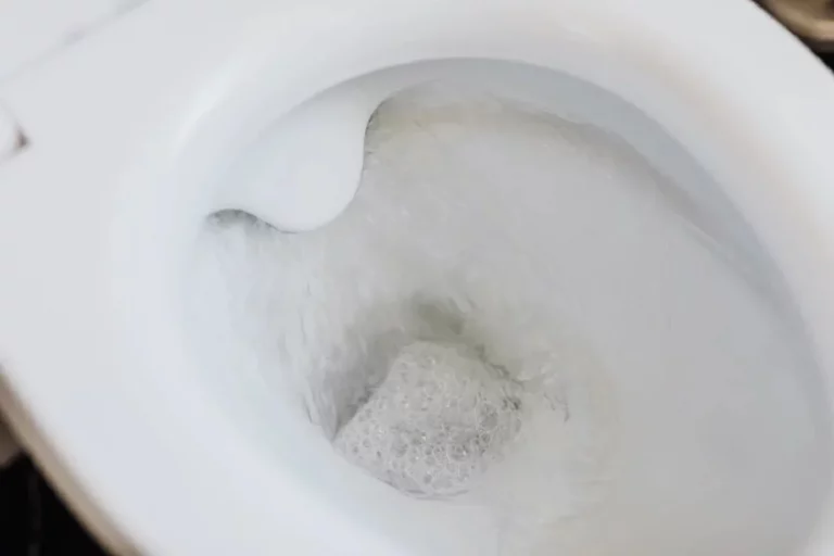 Cuida tus tuberías y evita un WC atascado
