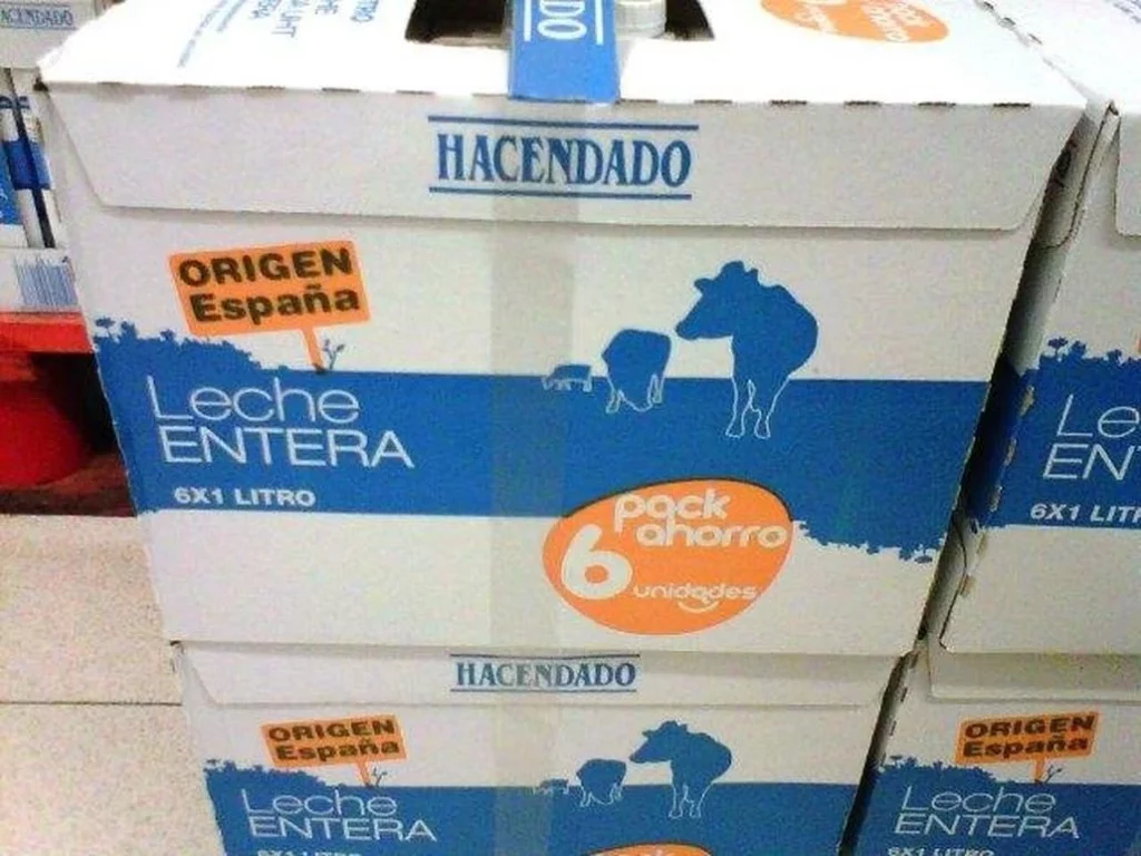 Conclusión