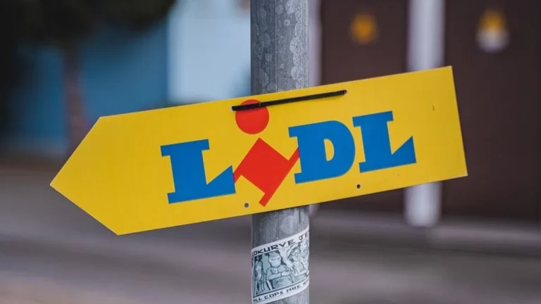 La vajilla de porcelana de 6 euros de Lidl mucho mejor que la de Alcampo
