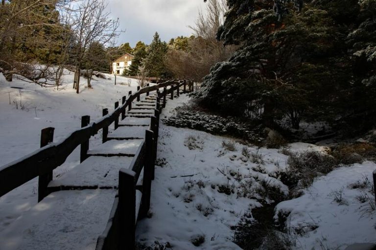 Aviso de la AEMET: frío y heladas en 30 provincias y nieve en Aragón, Cataluña y Comunidad Valenciana