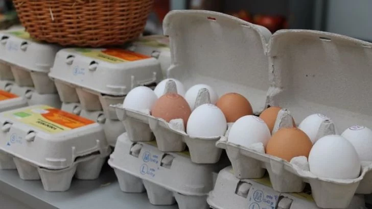Por Qué Este Curioso Huevo De Gallina Se Ha Subastado Por 250 Dólares 5 El Impacto De Una Rareza Extraordinaria