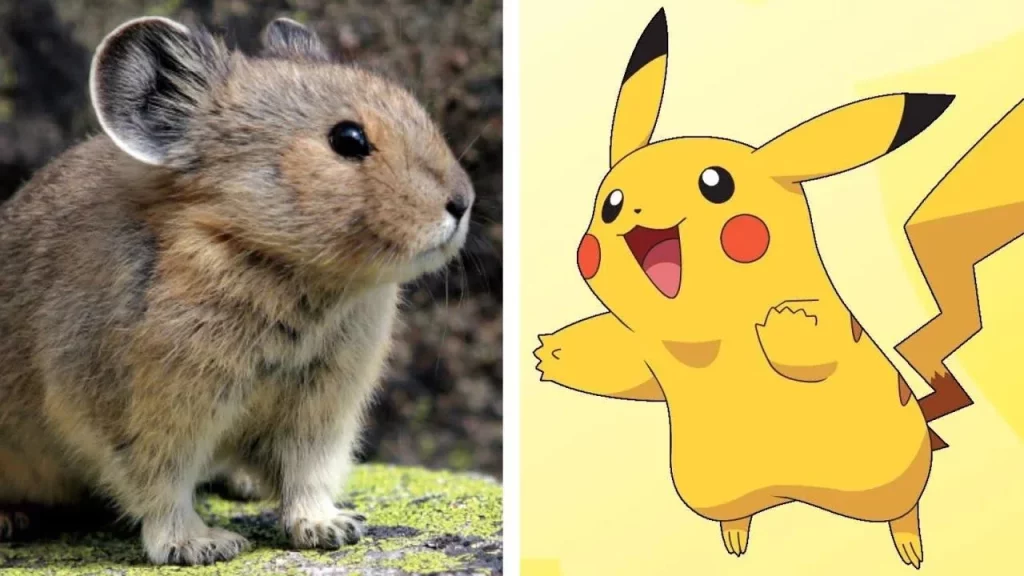El Proceso De Diseño: Una Mezcla De Ardillas Y Picas