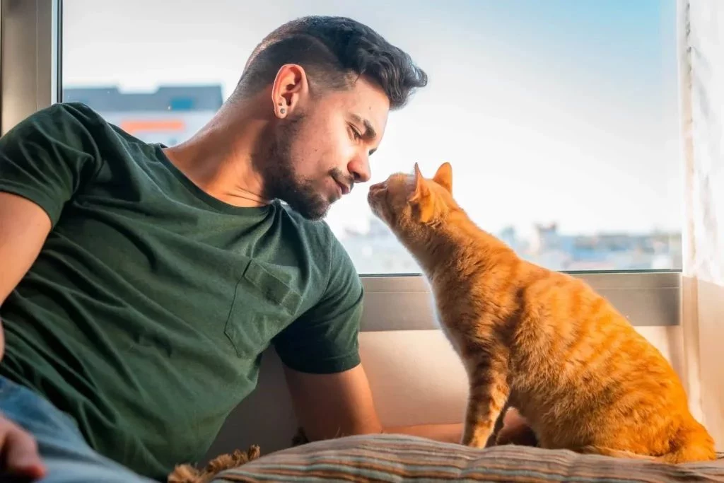 La Demanda: Celos Por El Gato