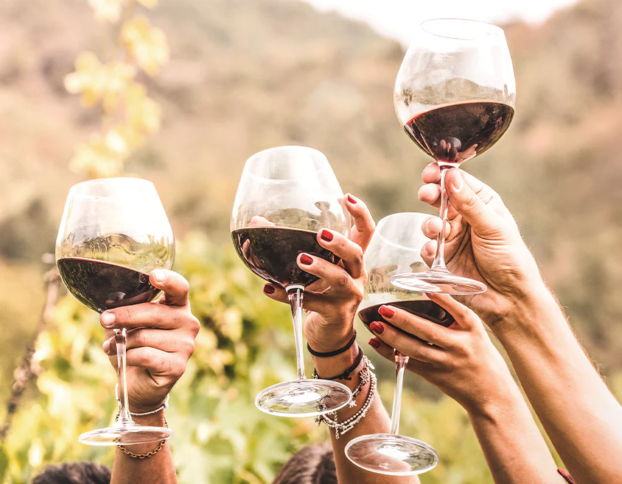 Conclusión: Celebra La Navidad Con El Mejor Vino De Lidl