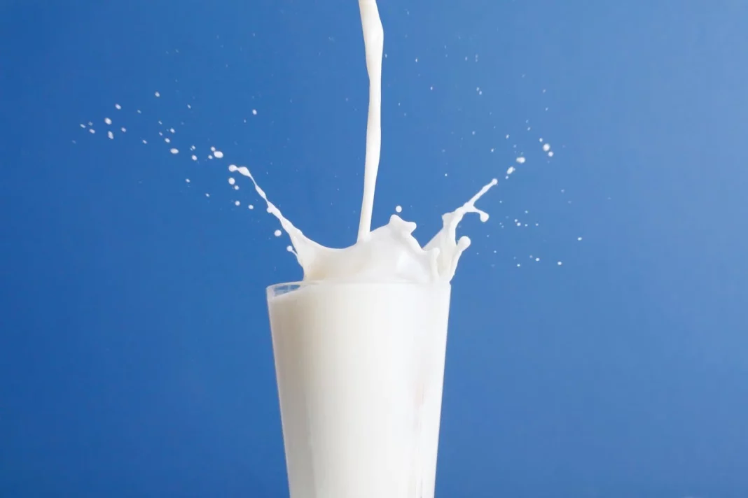La importancia de elegir una leche de calidad