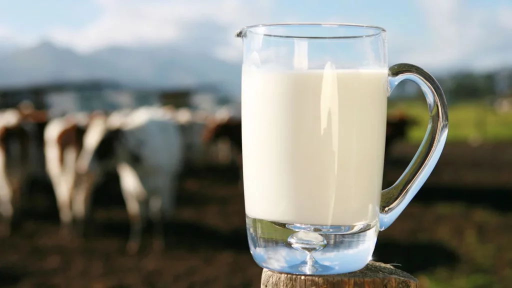 Alternativas Vegetales A La Leche: ¿Son Una Buena Opción?