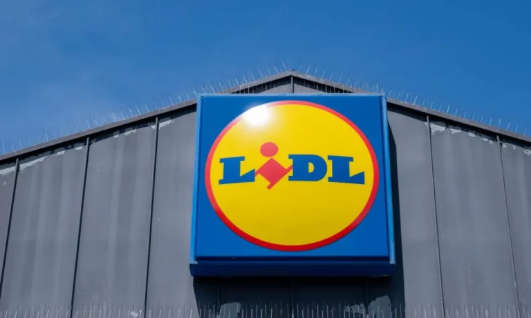 El producto de 5 euros de Lidl que debes renovar: lo ve todo el mundo al visitarte en casa