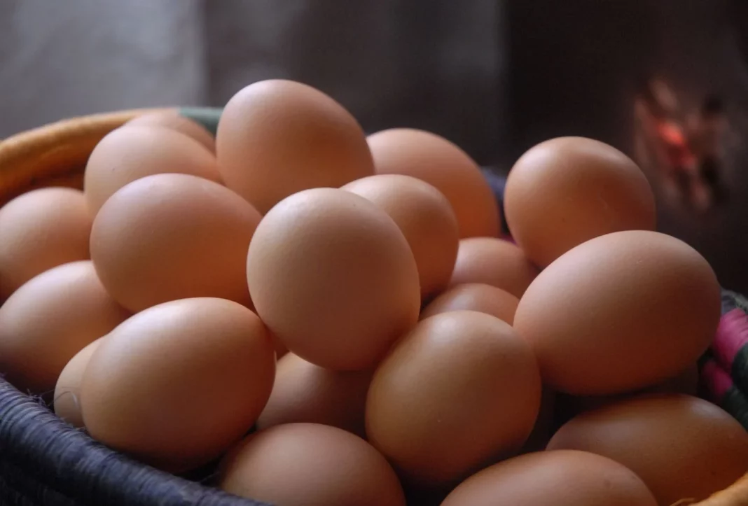Metodología del estudio: ¿Cómo analizó la OCU los huevos de supermercado?