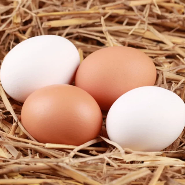¿Cuántos Huevos Se Pueden Comer Al Día Sin Perjudicar La Salud? La Ciencia Responde Y Desmonta Viejos Mitos