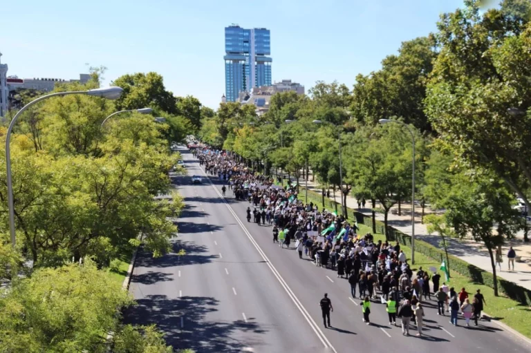 Mantienen la convocatoria de una nueva manifestación por la ‘pasarela al RETA’ a pesar de la fuerte división de los profesionales