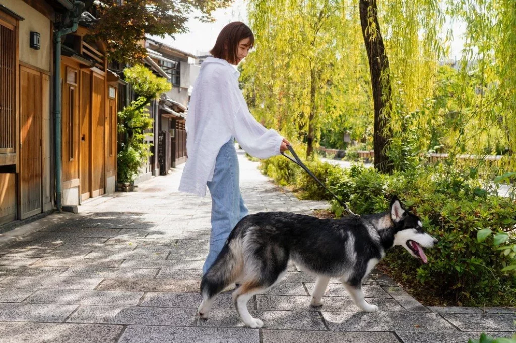 ¿Los Perros O Los Dueños?