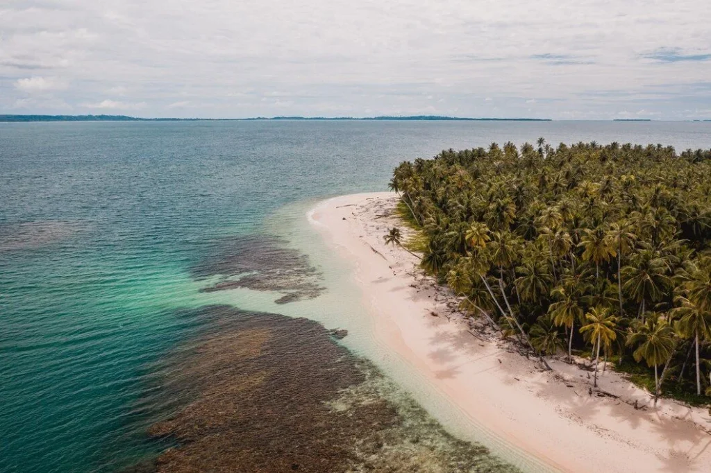 Senderismo Y Biodiversidad En Isla Fuerte