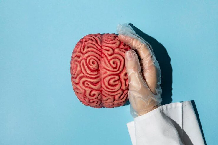 Un descubrimiento científico revela cómo el ejercicio físico puede prevenir la demencia y proteger tu cerebro