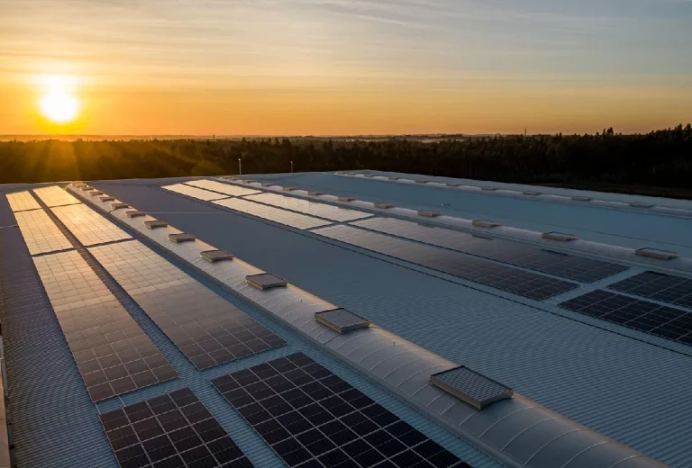 Paneles Solares Bifaciales: Ventajas, Desventajas y la Opinión de Expertos