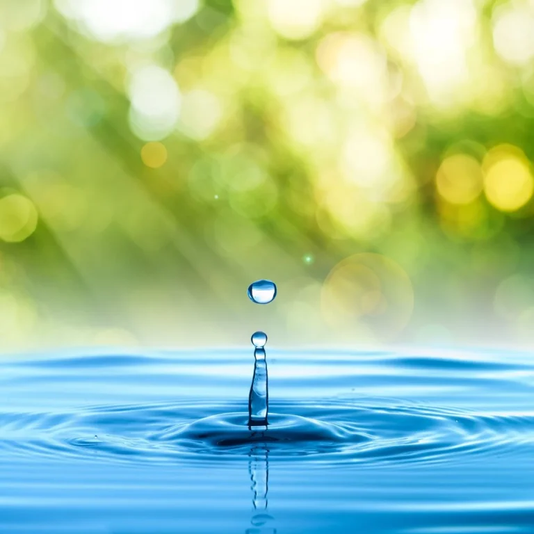 España celebra el Día Mundial del Agua ante el reto de una gestión hídrica sostenible
