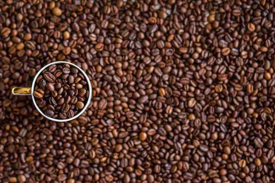 ¿Está Lidl marcando el futuro del café en cápsulas?