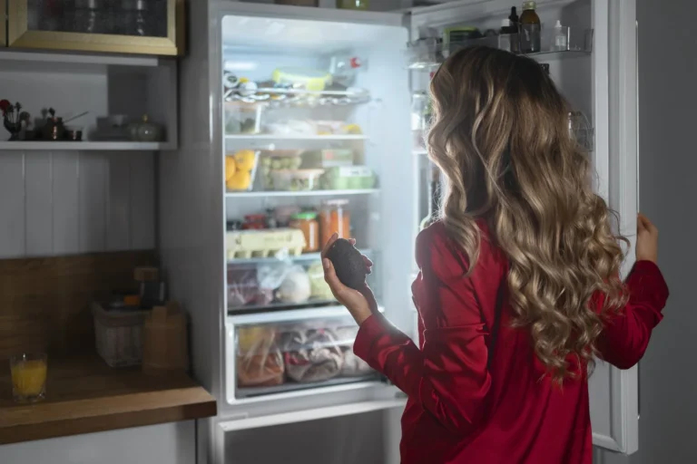 Marcas que resisten a todo: Estos son los frigoríficos que pueden sobrevivir a un apagón, según la OCU