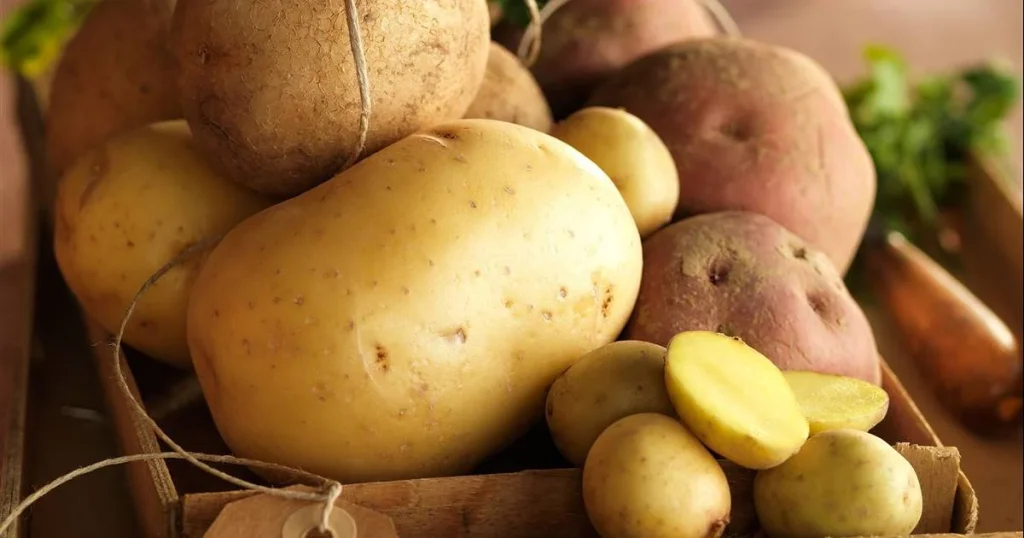 La Elección De La Materia Prima: No Todas Las Patatas Valen