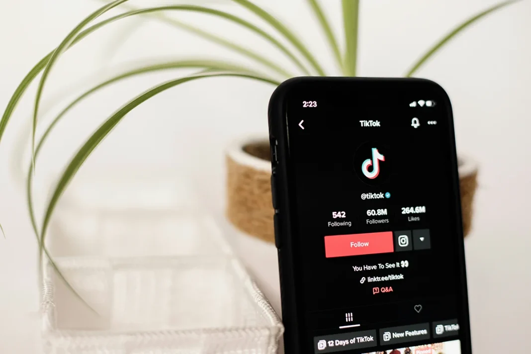 INFLUENCERS COMO LOLA LOLITA, VÍCTIMAS EN TIKTOK